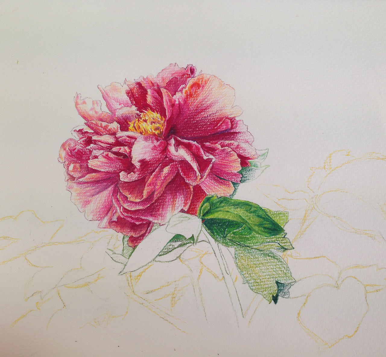 用黄色的彩铅把叶子的形都勾了一遍~