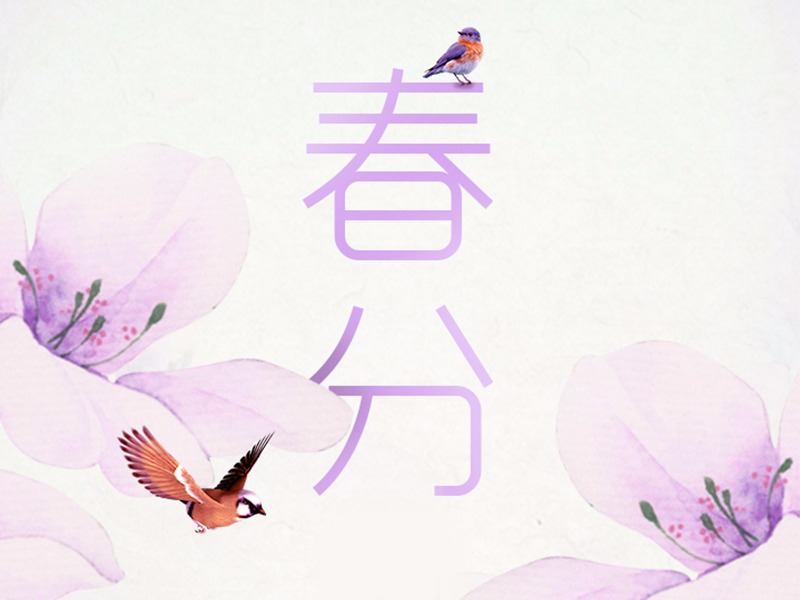 字体