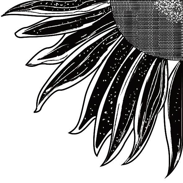 花鸟虫鱼-趣味插图