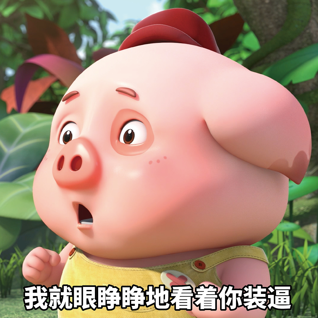 探探猫搞笑图片合集：豆豆猪嘴巴寂寞了，只能强势耍赖