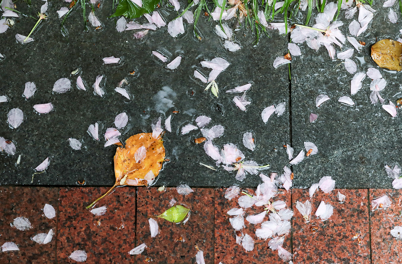 疫外,魔都的一天