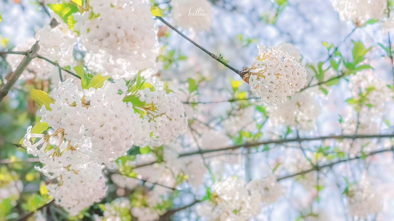 手机摄影合集2（图ZMjk5NzA4OTQ4） - 风光摄影 - 站酷设计师限时救援原创素材 - 站酷ZCOOL