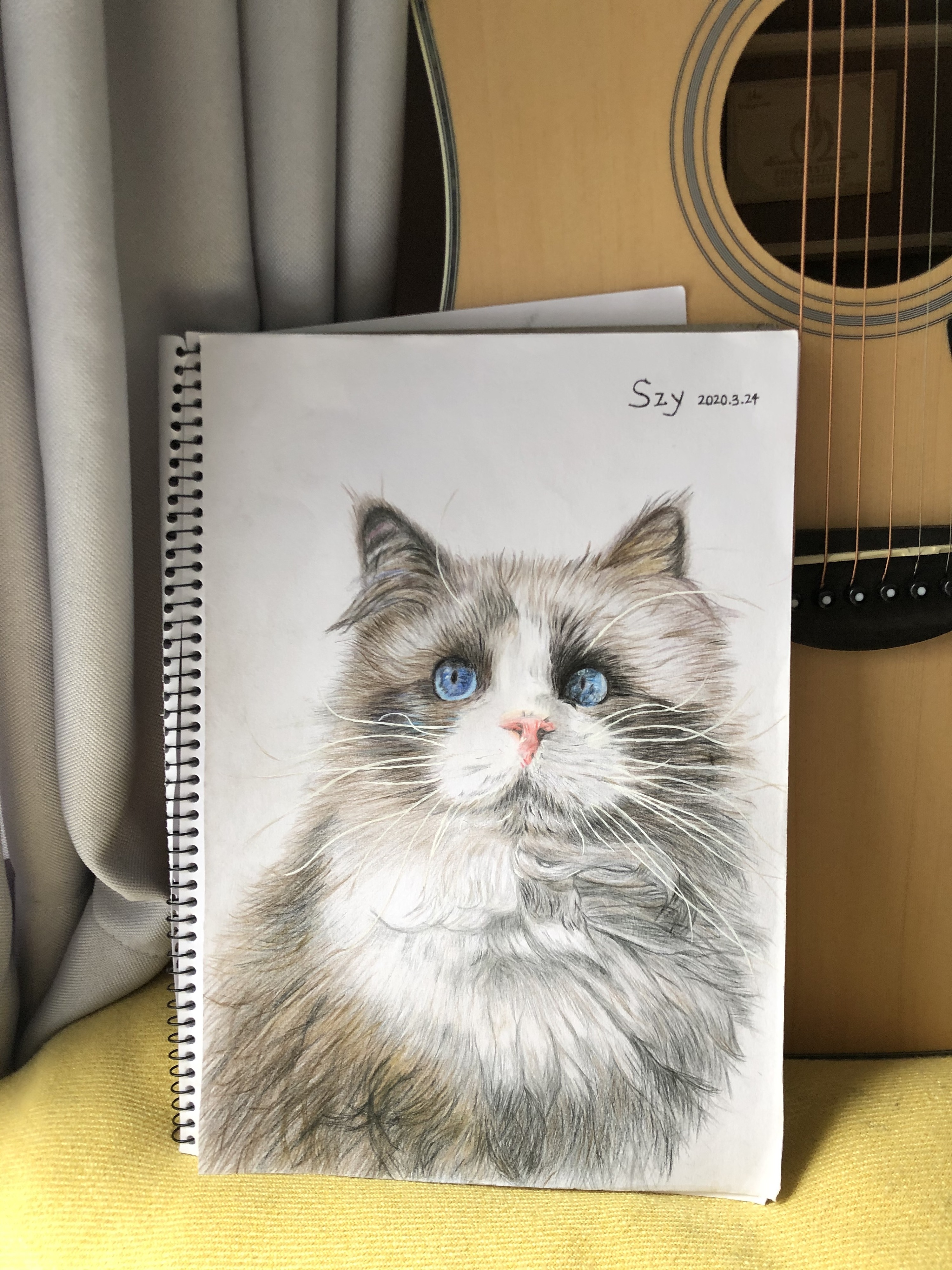 彩铅 猫|纯艺术|绘画|sy丶 - 临摹作品 - 站酷 (zcool)