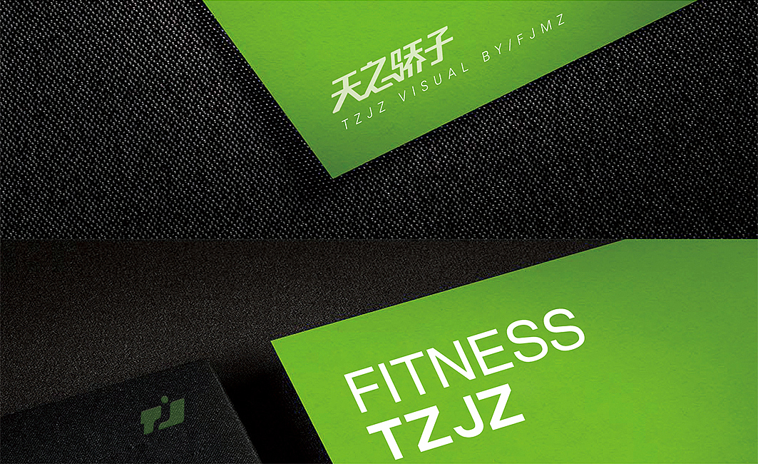 福建天之骄子(健身馆)vi/标志 |平面|logo|木正品牌策划_原创作品