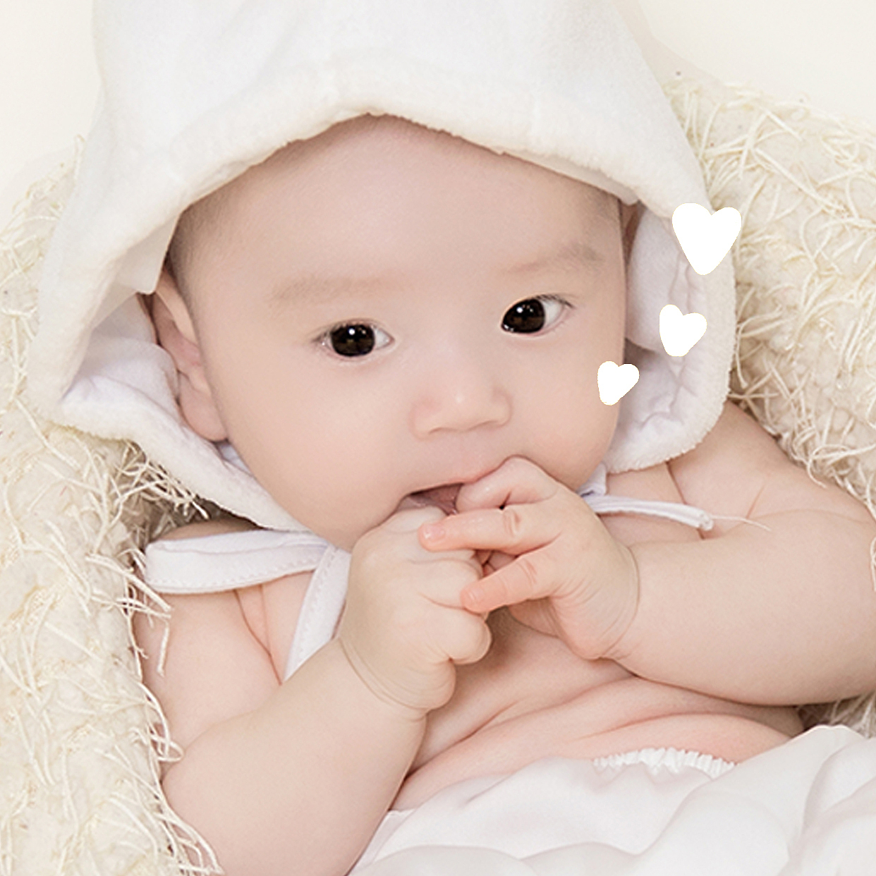 鸡宝宝 · 创意排版