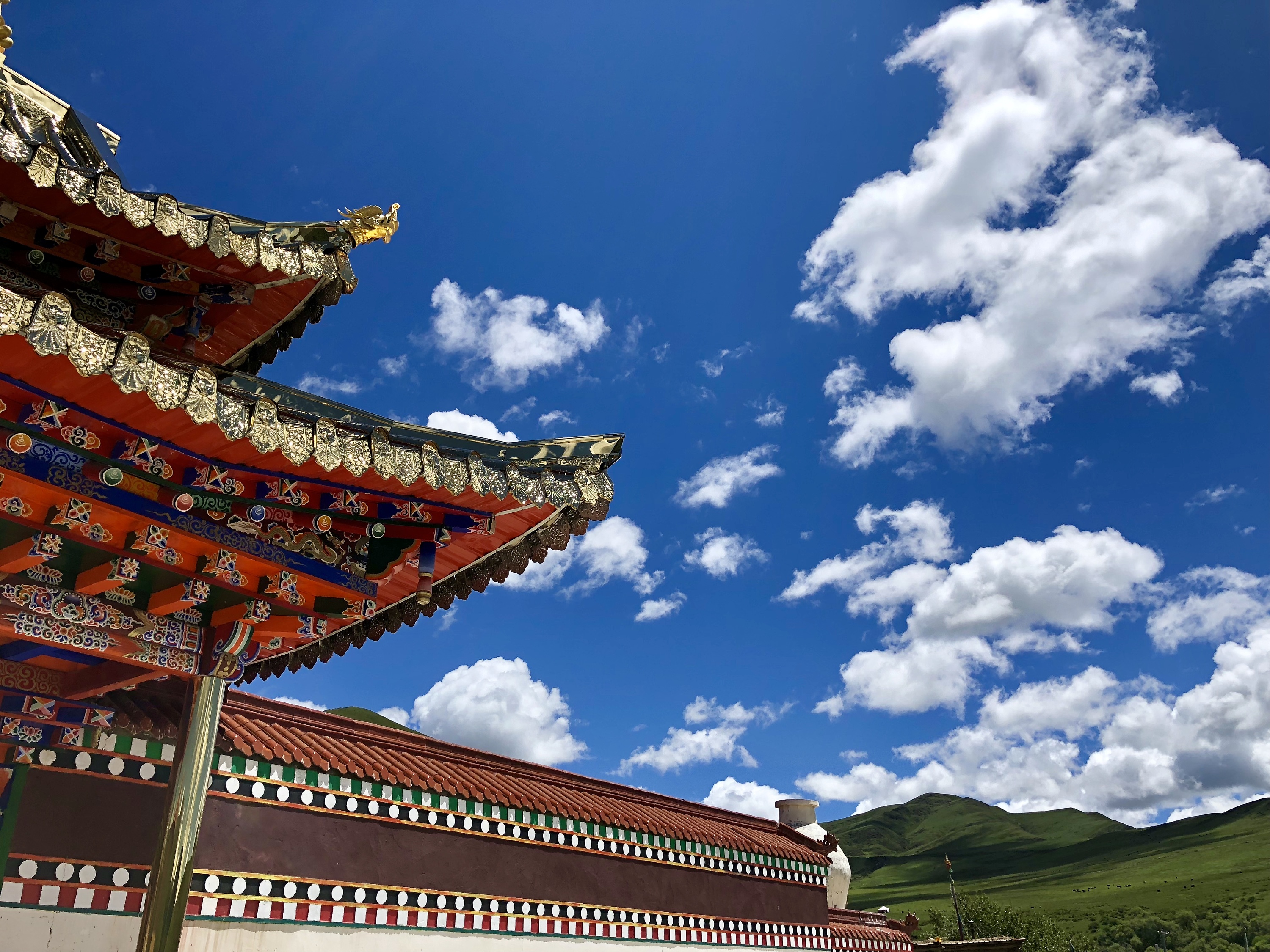 壤塘-觉囊派上师-阿旺秋觉|摄影|人文/纪实|caesar被占用 - 原创作品 