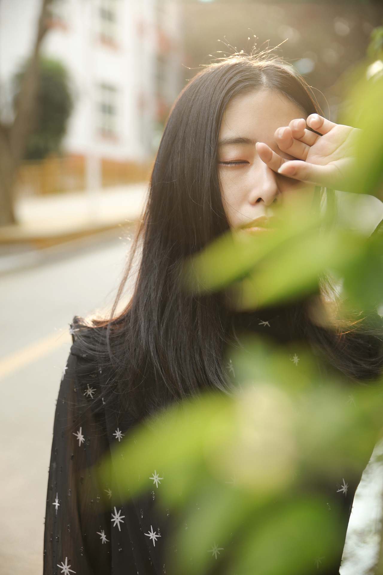 阳光抚过你的头发