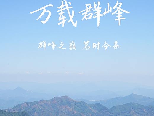茗时今 醉美茶山 潮州工夫茶原产地 乌栋山品味单丛茶