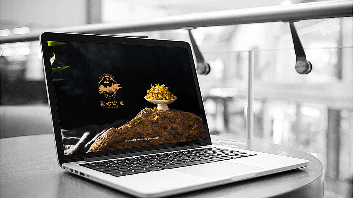 霍珍迎驾LOGO设计