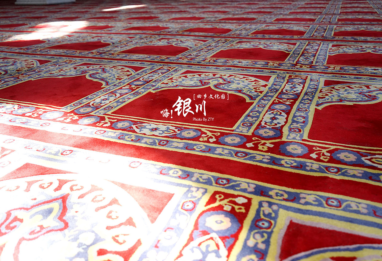 旅行~银川~和好友五年未见。