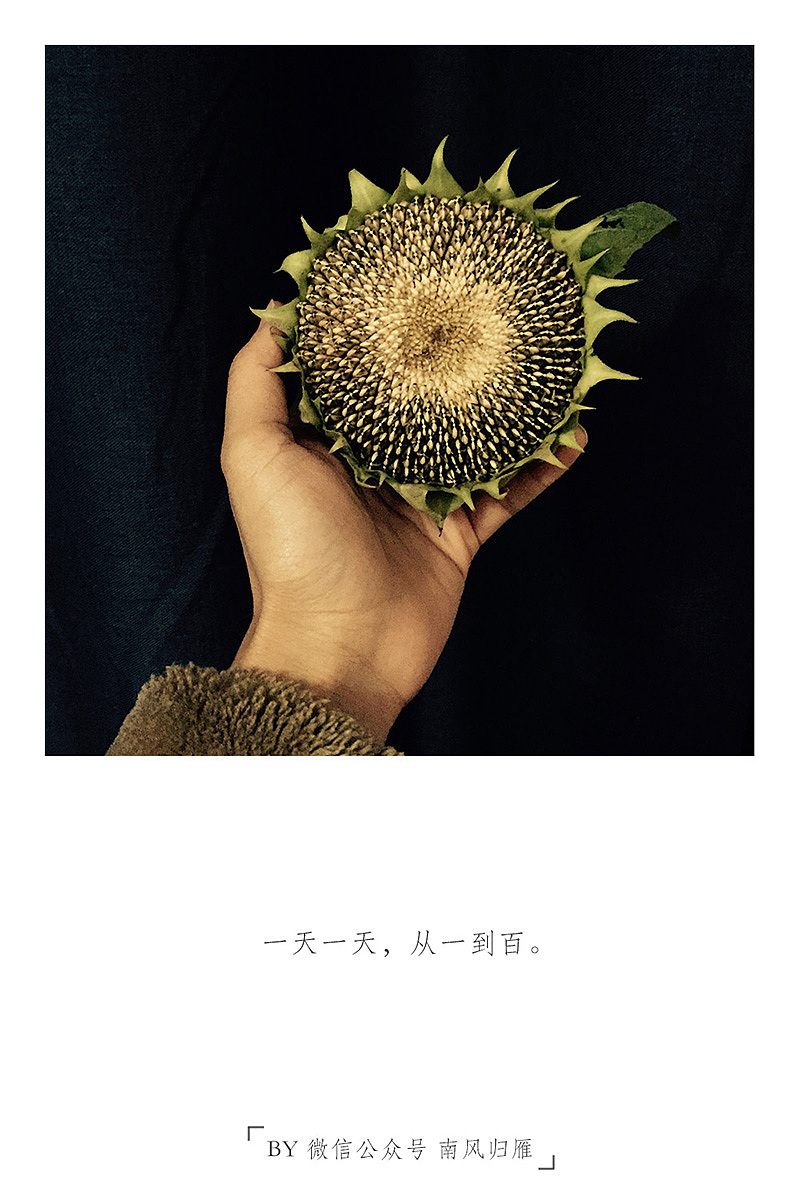 二零壹伍侧记(图ZNDE5MzI4NDQ=) - 艺术插画 - 站酷设计师司南_燕春山原创素材 - 站酷ZCOOL