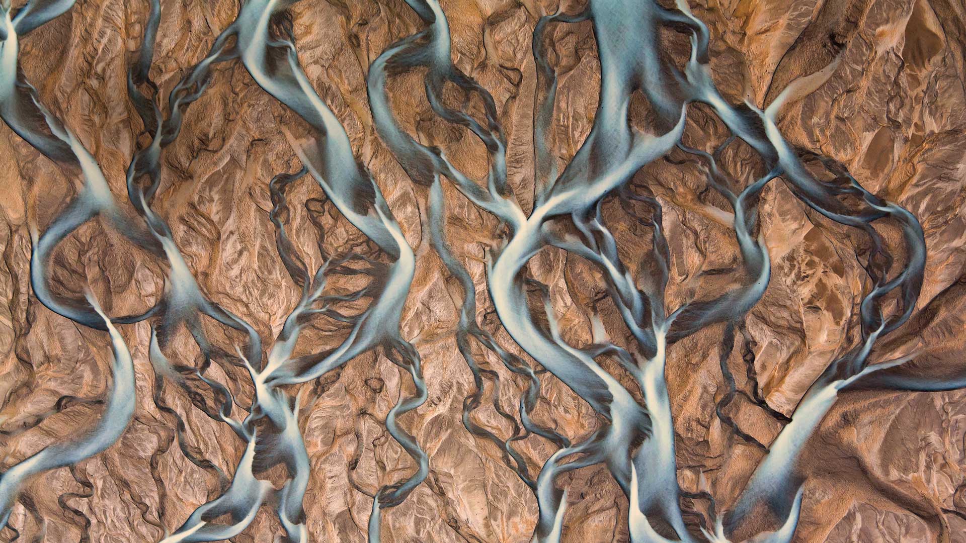 看大狗的個(gè)人主頁（封面預(yù)覽） - 主頁封面設(shè)置 - 站酷設(shè)計(jì)師看大狗原創(chuàng)素材 - 站酷ZCOOL