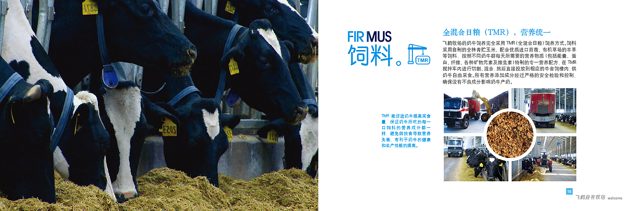 画册设计第二版（图ZMTYzMjc4MTQ4） - 书籍/画册 - 站酷设计师纳兰1108原创素材 - 站酷ZCOOL