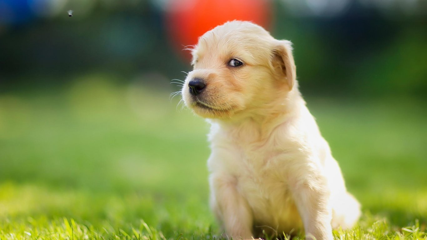 少年的你如此美丽的个人主页（封面预览） - 主页封面设置 - 站酷设计师少年的你如此美丽原创素材 - 站酷ZCOOL