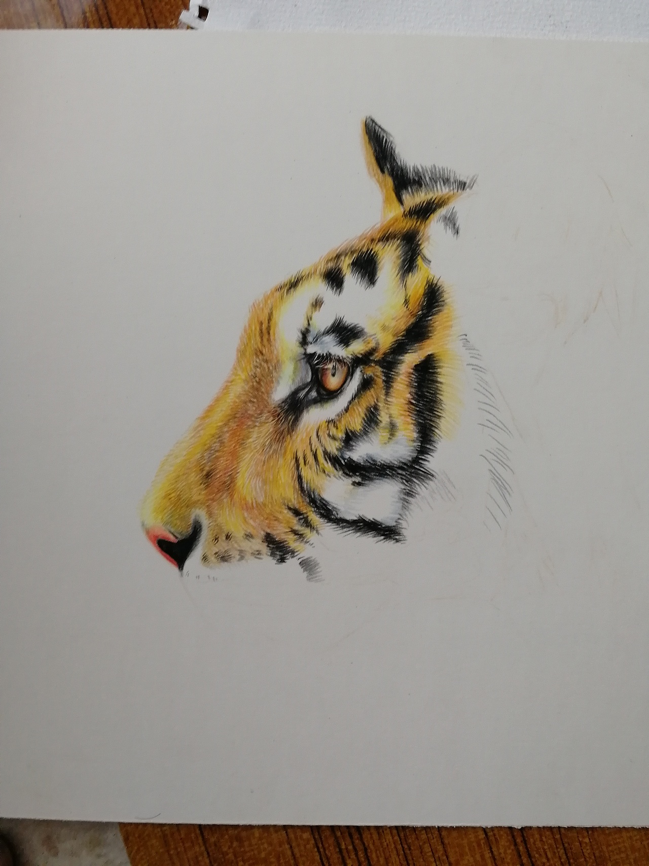 换张纸试试（图ZMjIxMzQ3MDQw） - 绘画 - 站酷设计师独自一个人散步原创素材 - 站酷ZCOOL