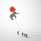 丷搁浅丷的头像