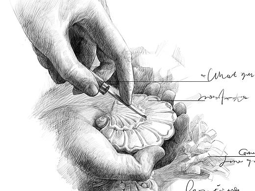 万科地产围挡插画（个人主页-ZMzg5NDM5OTI=） - 商业插画 - 站酷设计师Echo曾爱可原创素材 - 站酷ZCOOL