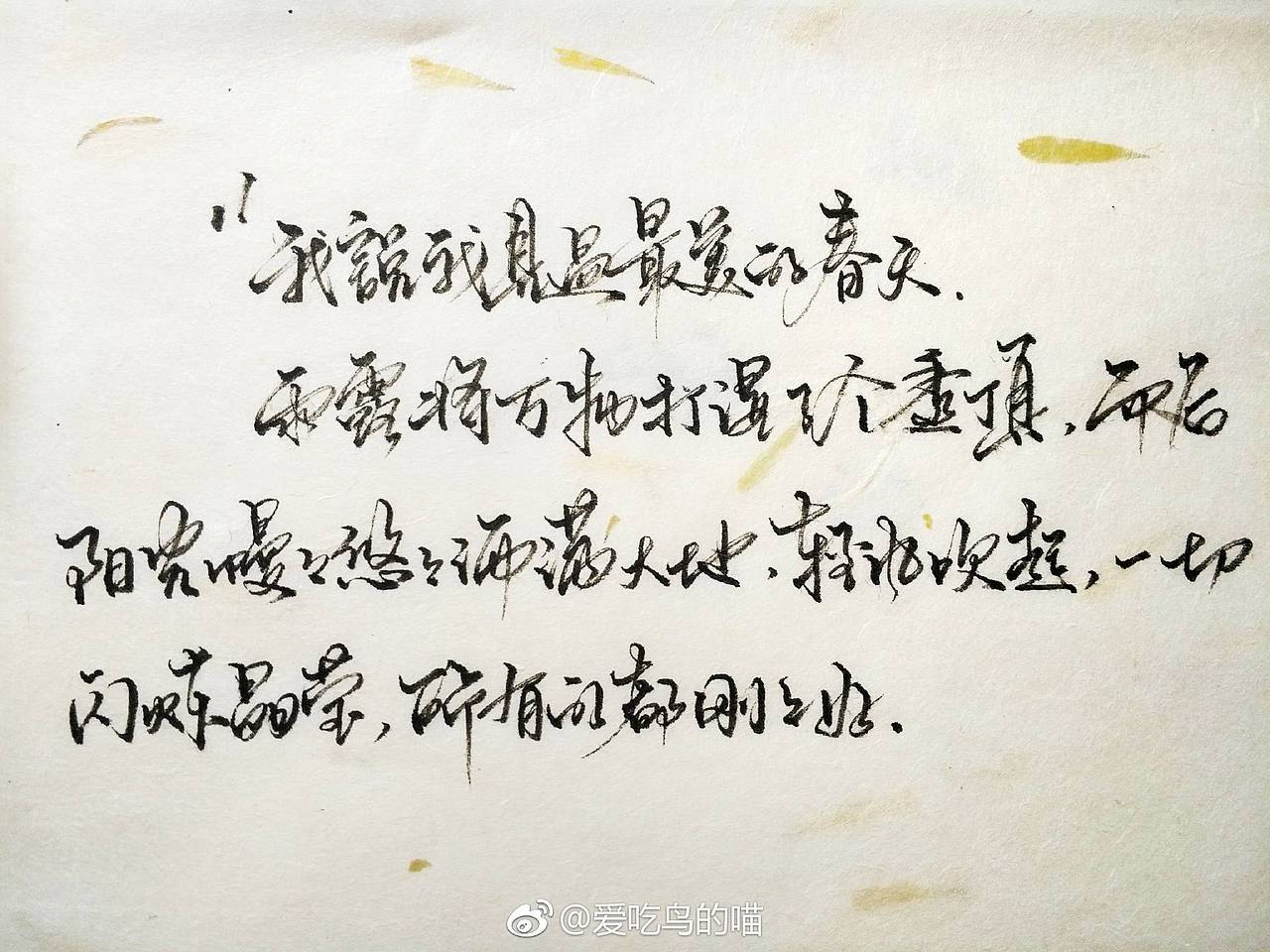 喜欢Ta就说啊