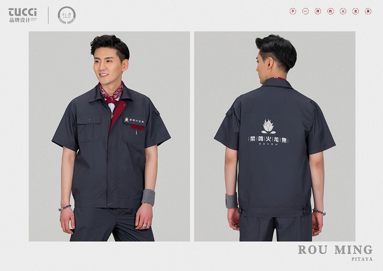 柔鸣火龙果LOGO方案（图ZMTI1NTkxMzQ4） - Logo - 站酷设计师黄大海原创素材 - 站酷ZCOOL