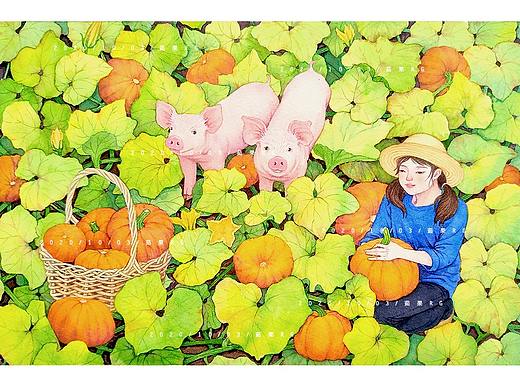 摘南瓜