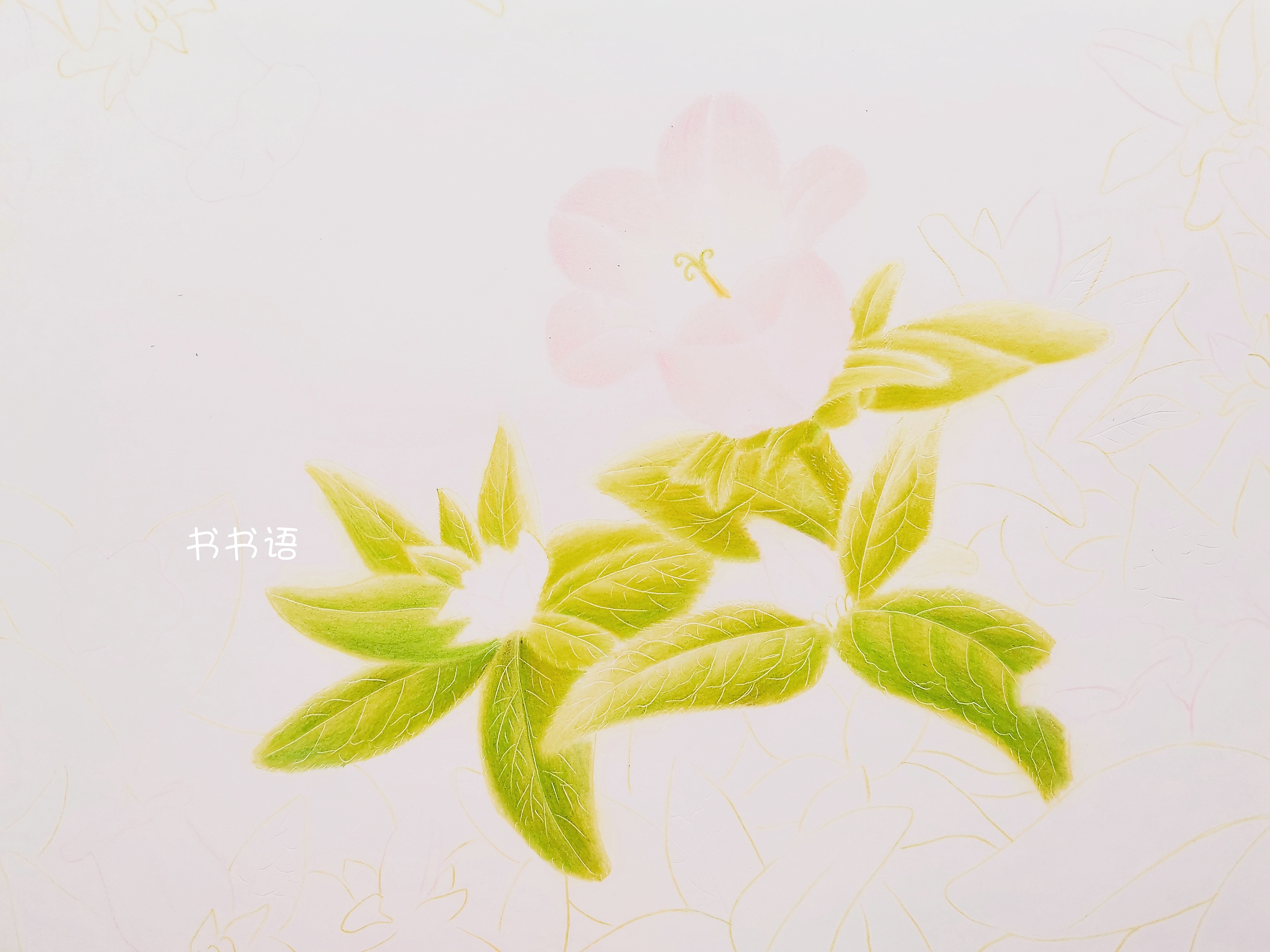 书书语原创彩铅绘之《春的风铃》