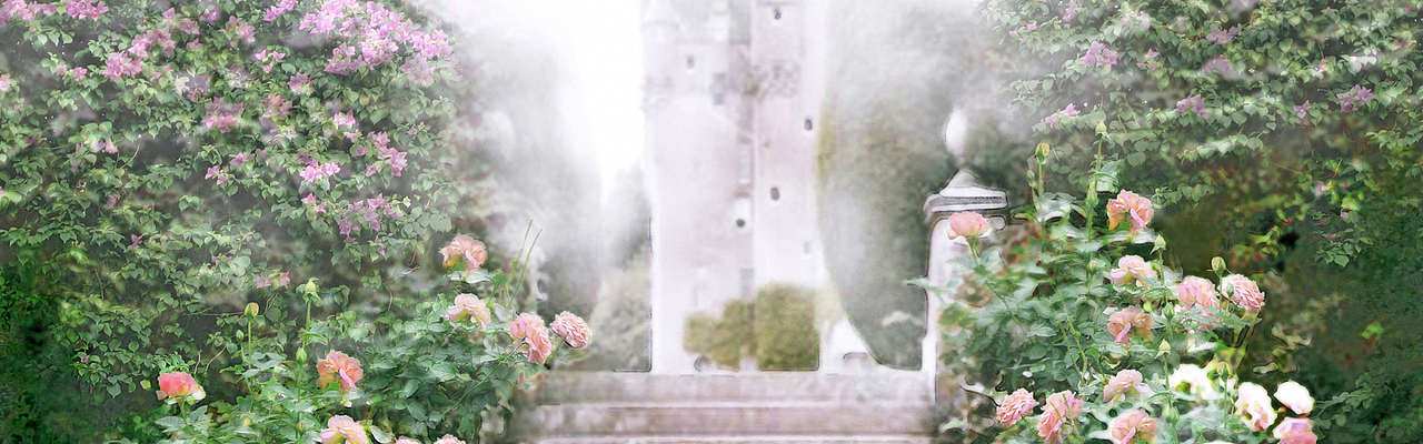 56个实用的电商海报全屏背景图素材分享