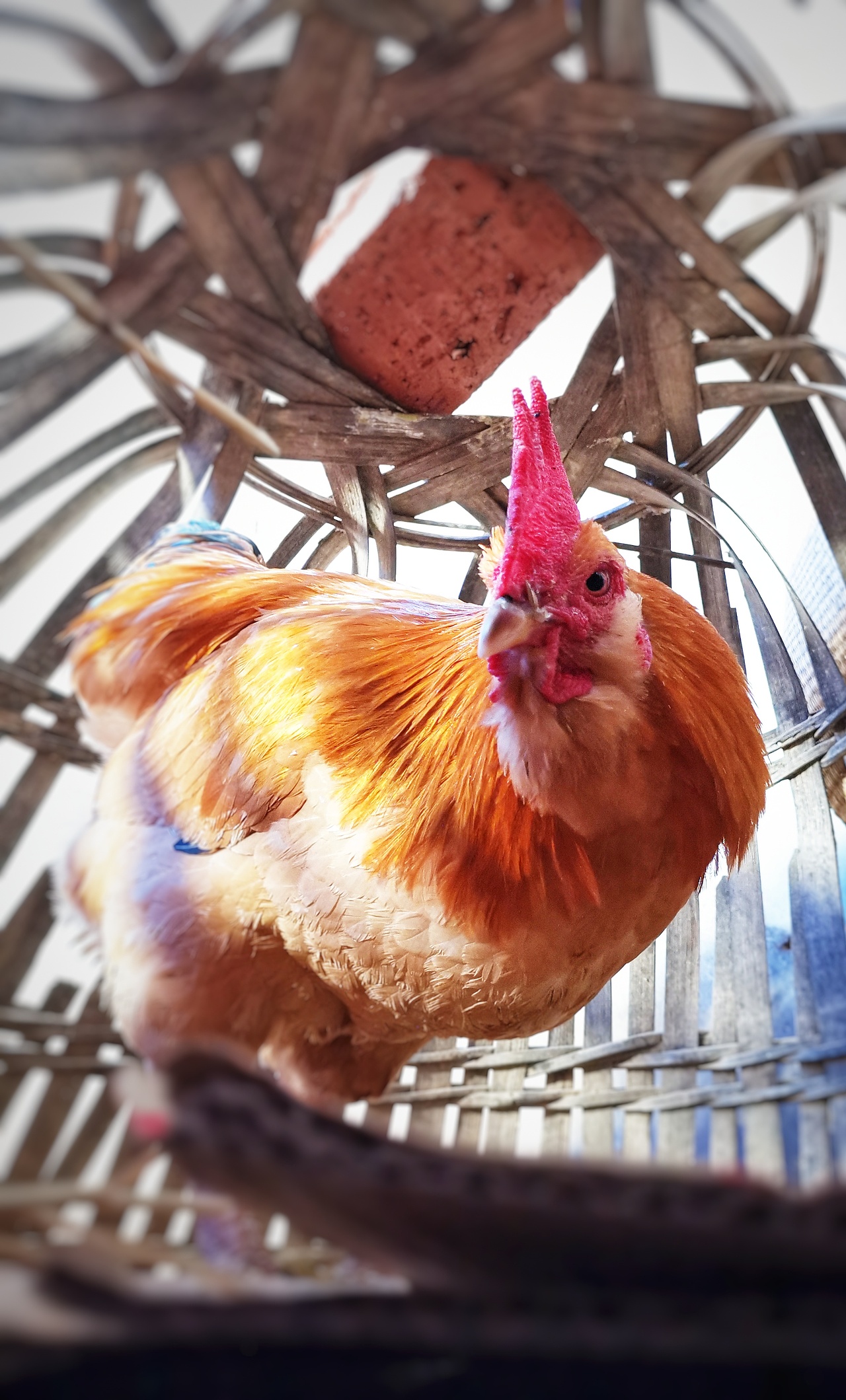 日常摄影-摄影的快乐分享