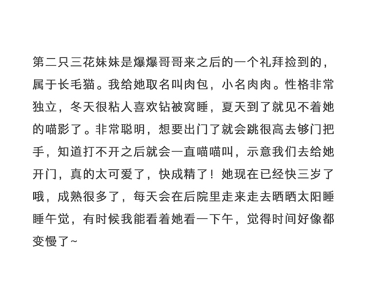 我家有个动物园 / 猫咪篇（图ZMTEyNTIwMDY0） - 宠物摄影 - 站酷设计师歪哎去zz原创素材 - 站酷ZCOOL