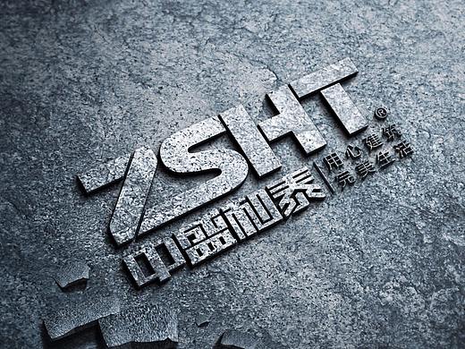 中盛和泰标志设计