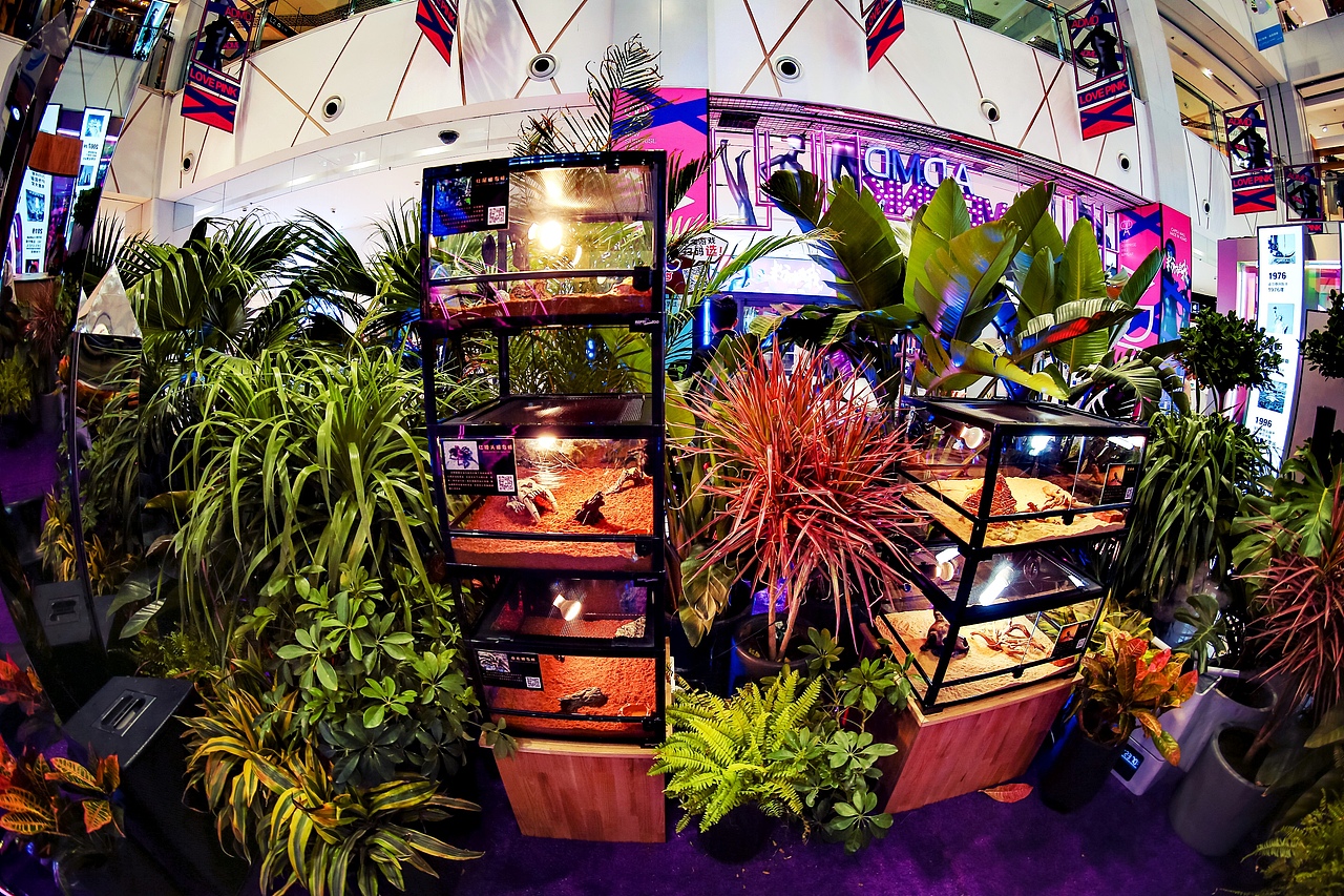 非粉之想 漫游太空 【沉浸式丛林主题展】