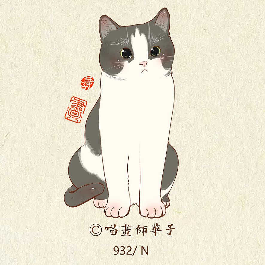 画猫的第三季250天,937天的画猫纪录
