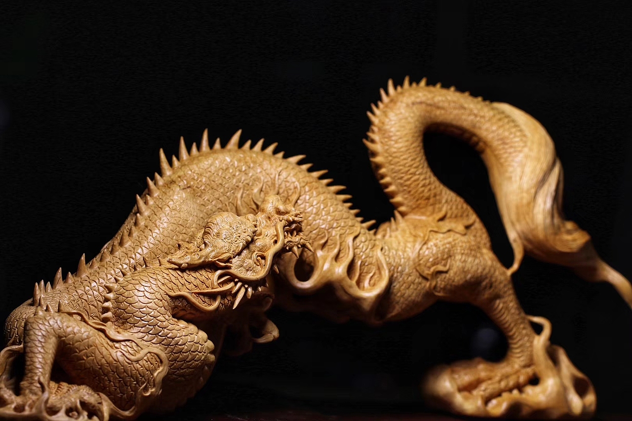 黄杨木五爪金龙