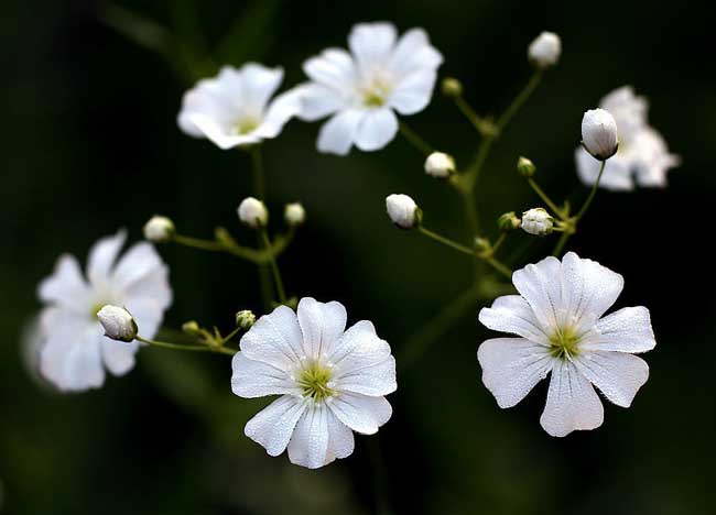 WUCHACHA_的个人主页（背景预览） - 主页背景设置 - 站酷设计师WUCHACHA_原创素材 - 站酷ZCOOL