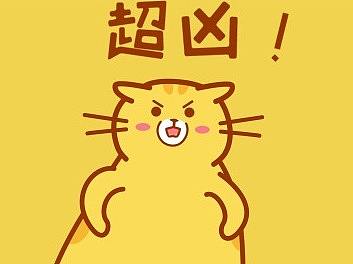 小白小橘的表情包