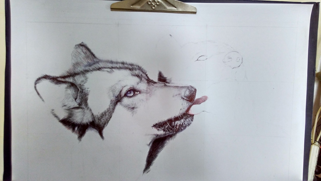 hst圆珠笔画狼