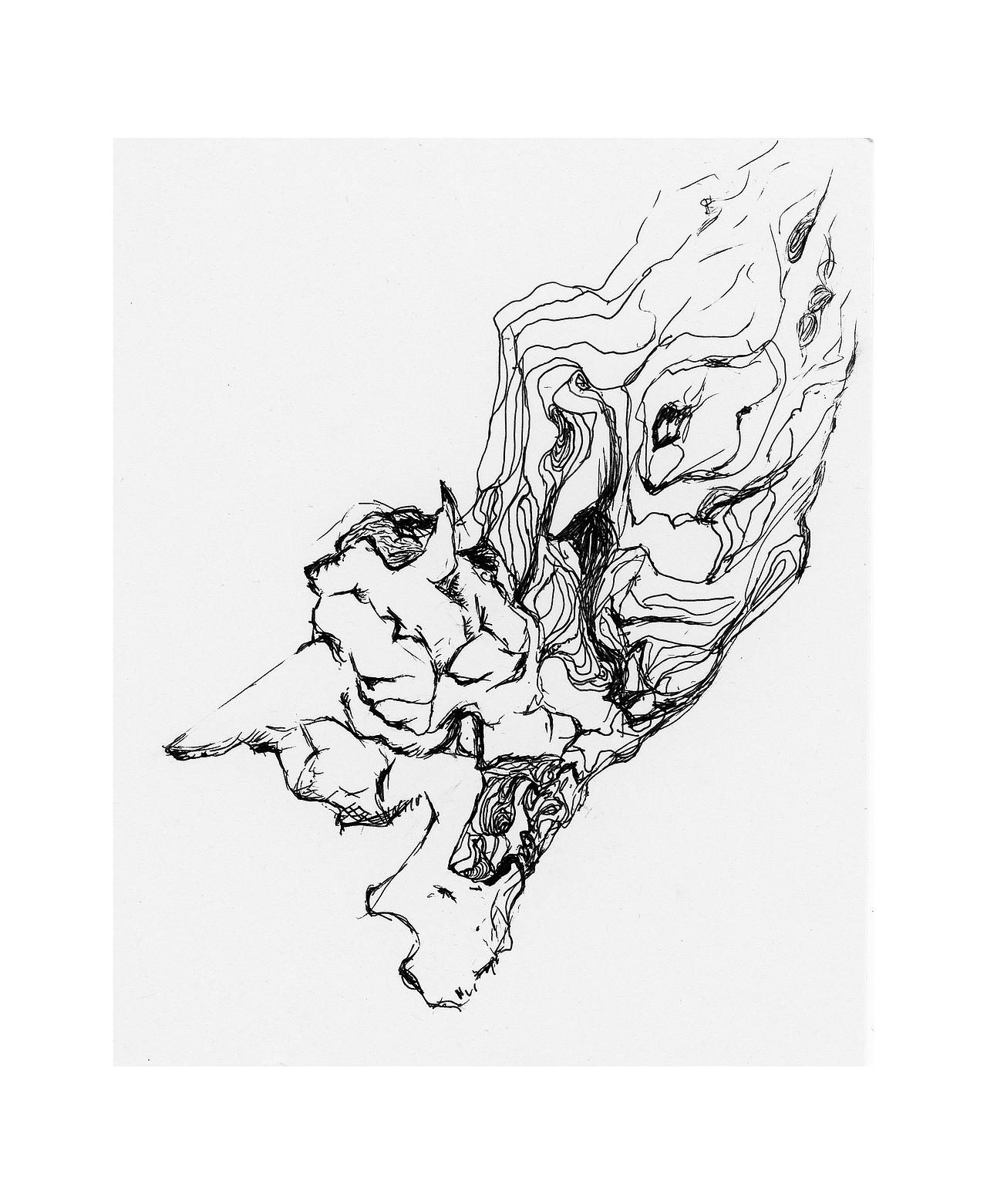 我为什么开始画画 上《感觉》