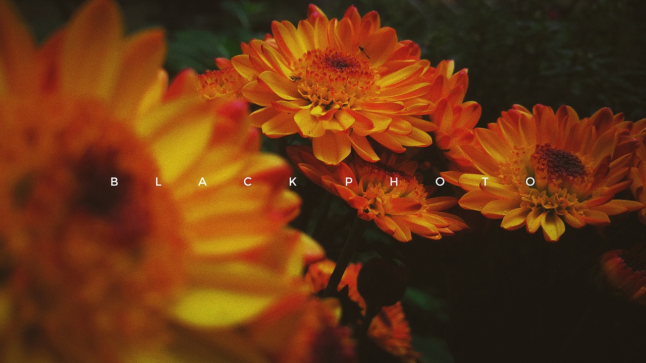 生活中的点点滴滴