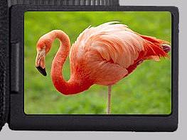 臨摹（個人主頁-ZMjc2NjU5ODQ=） - 運營設計 - 站酷設計師楠包子原創(chuàng)素材 - 站酷ZCOOL