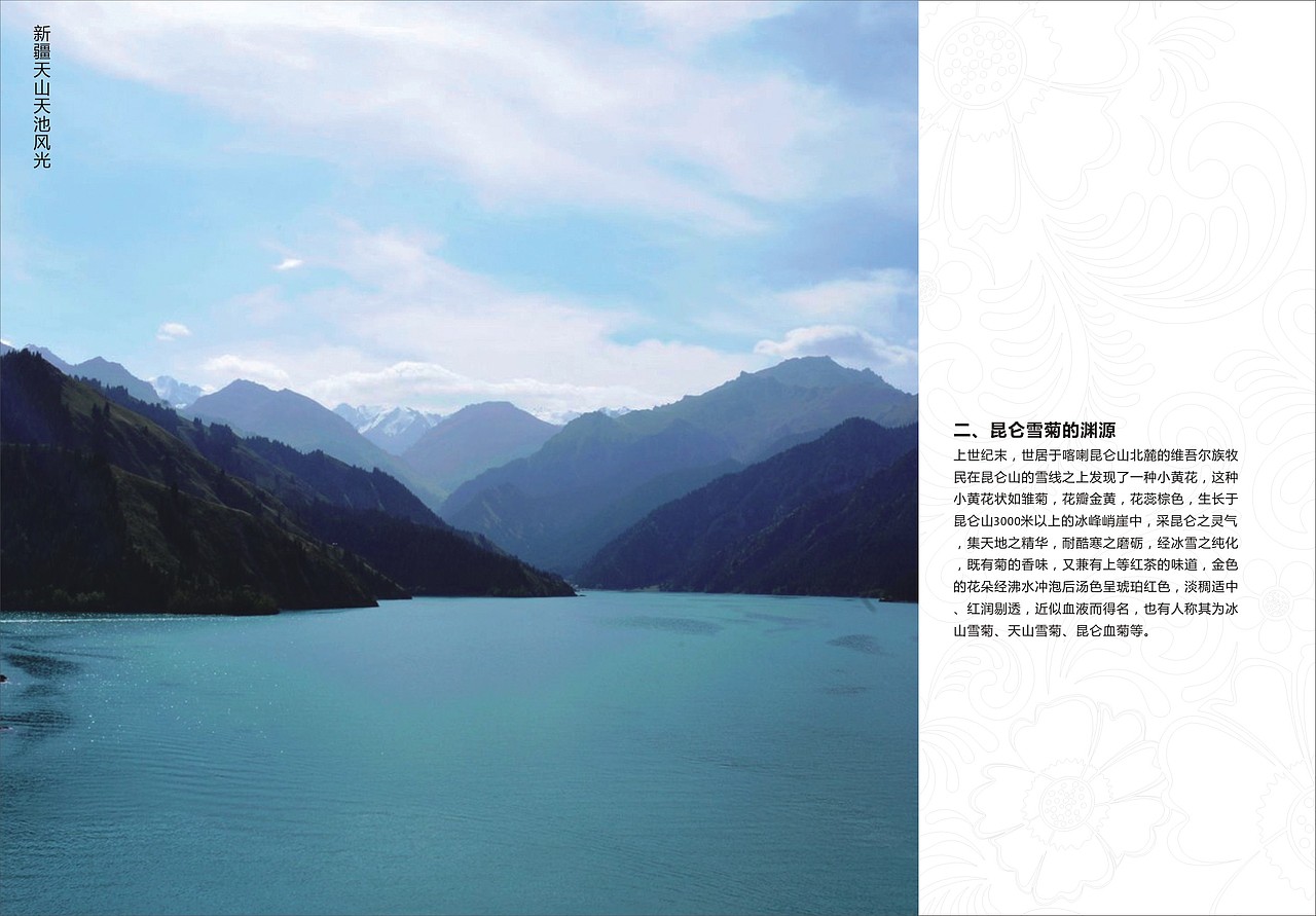 淘宝宣传小手册（图ZMjA0MjY3NDQ=） - 电商 - 站酷设计师七玥pancy原创素材 - 站酷ZCOOL