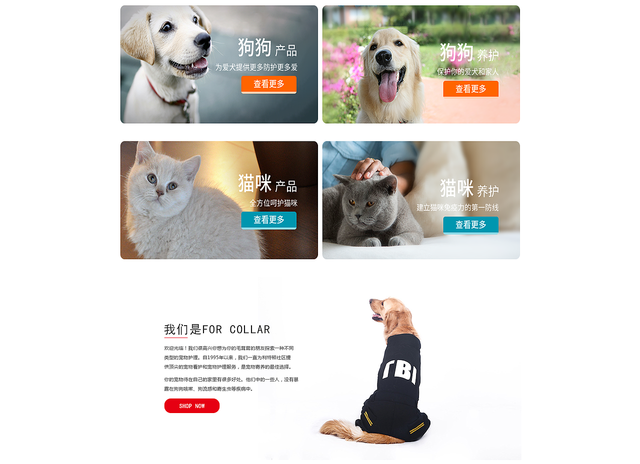网站宠物类首页、专题页、详情页（图ZMTM1MDk3MTI0） - 电商 - 站酷设计师热爱设计的小硕原创素材 - 站酷ZCOOL