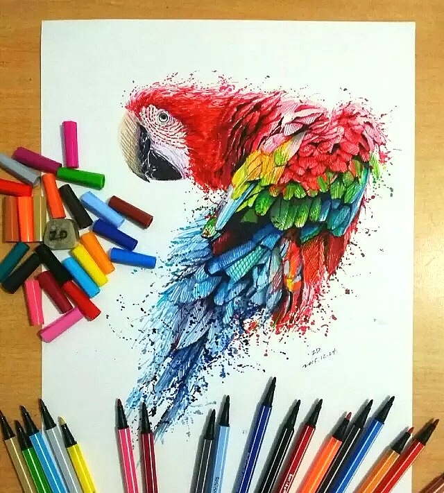 ZD水彩筆鸚鵡。（圖ZNDcyNTY0ODA=） - 繪畫 - 站酷設(shè)計師AisinGioroZD周丹原創(chuàng)素材 - 站酷ZCOOL