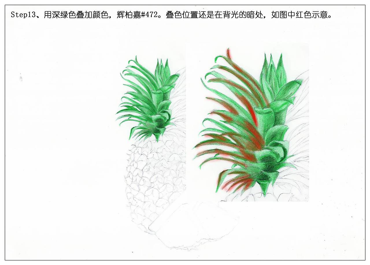【驴大萌彩铅】手绘24节气水果图鉴 谷雨菠萝