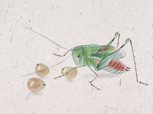 国画风《葡萄和蝈蝈》