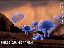 BIOLOGICAL MIGRATION（生物迁移）