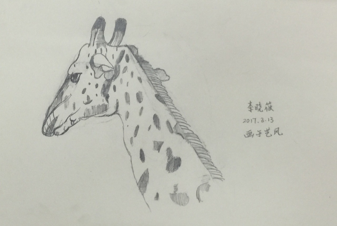 孩子动物临摹（图ZNzM2NDk1MDg=） - 儿童插画 - 站酷设计师艺风2017原创素材 - 站酷ZCOOL