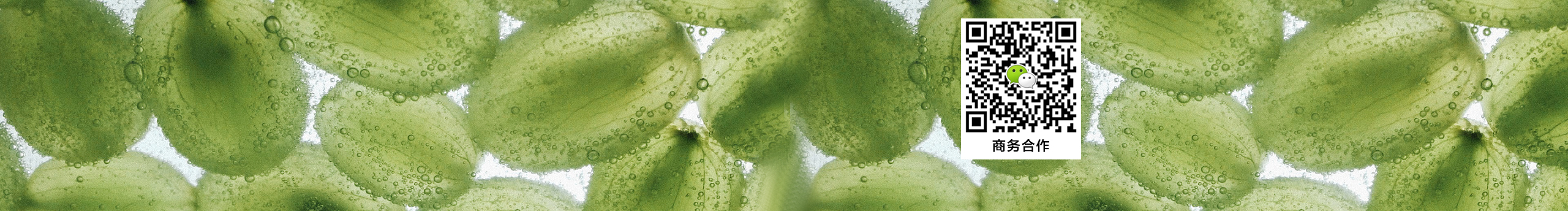 西珍妮一个的个人主页（封面预览） - 主页封面设置 - 站酷设计师西珍妮一个原创素材 - 站酷ZCOOL