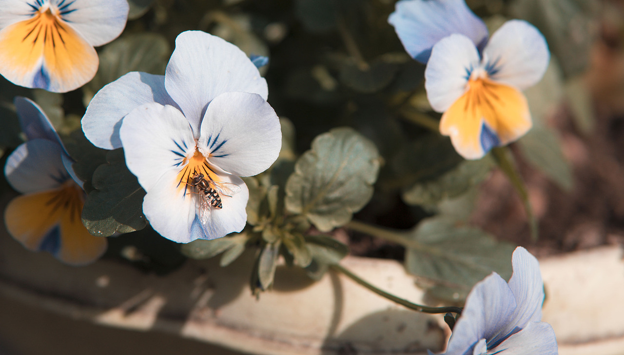 拱宸桥（图ZOTkzODg4ODg=） - 人文/纪实摄影 - 站酷设计师漫vision原创素材 - 站酷ZCOOL