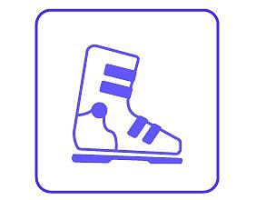 Ski Icon
