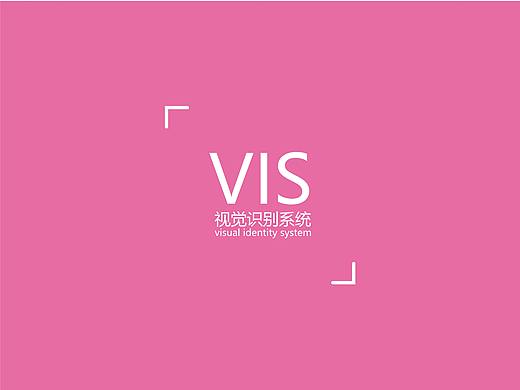 vis手册