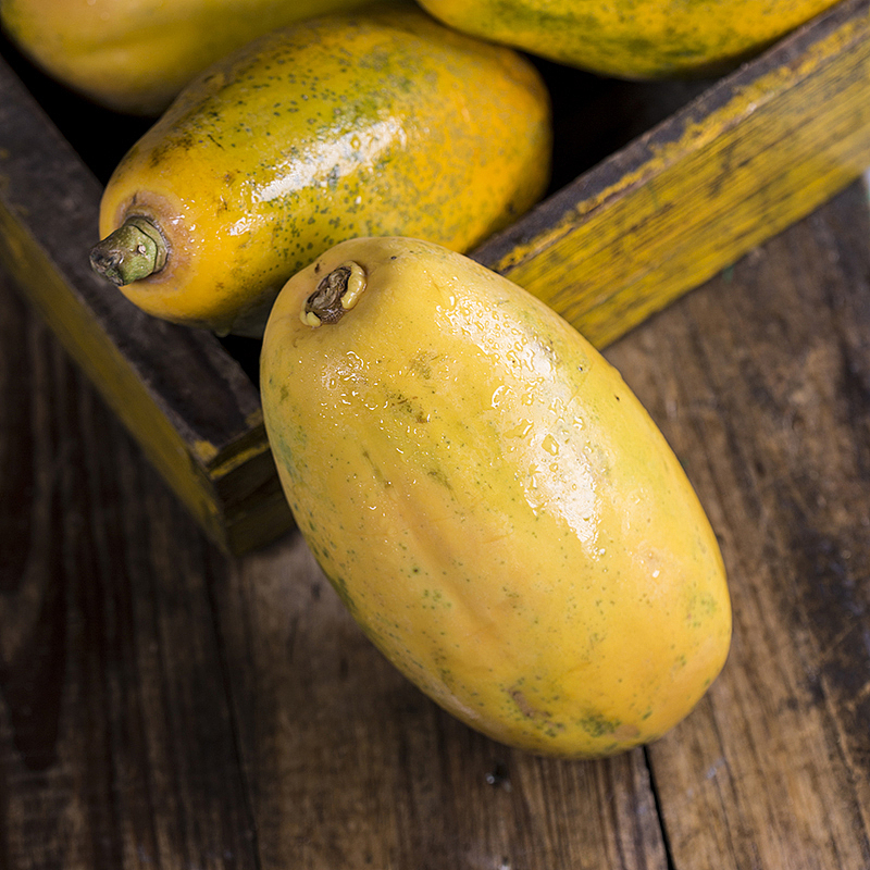 木瓜样片拍摄 | 九零微文化